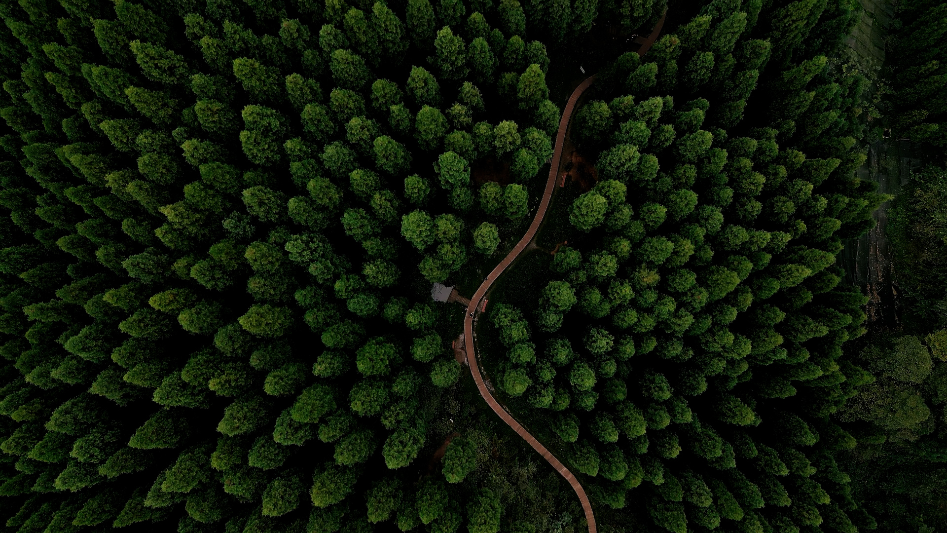 成都市中坝森林航拍