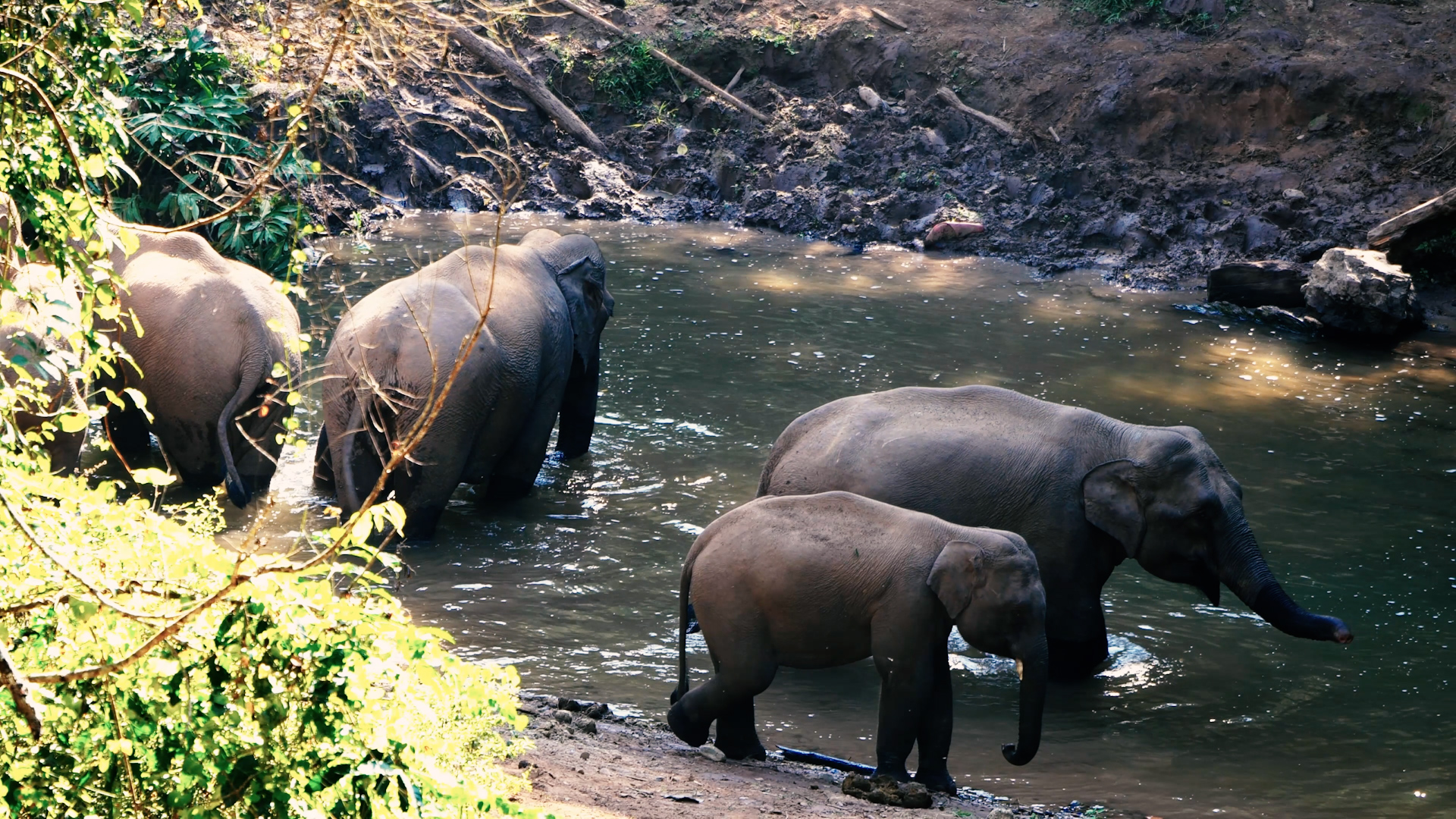 云南省西双版纳州景洪市航拍