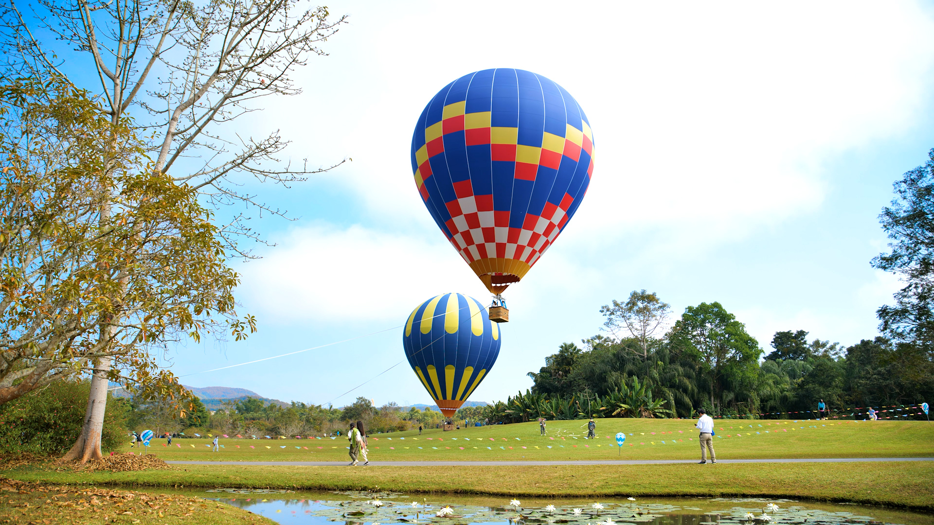 中国科学院西双版纳热带植物园宣传片