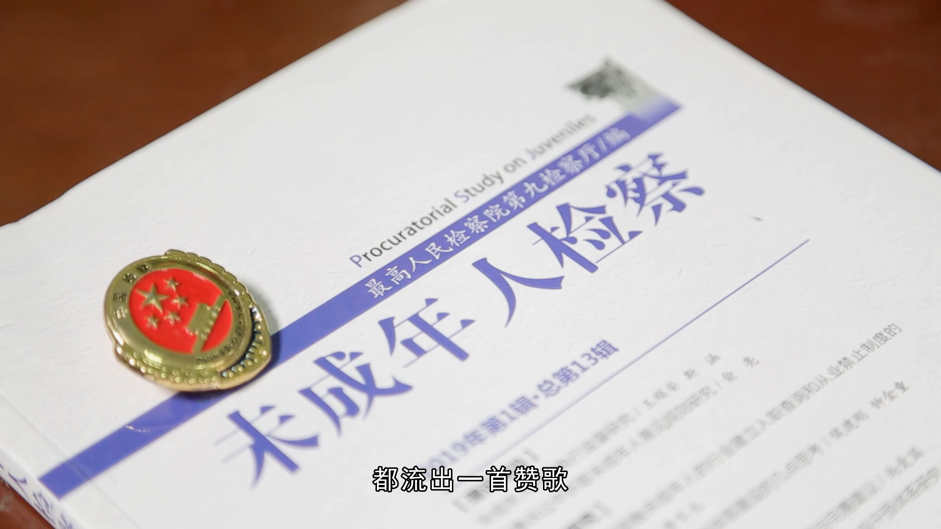 成都市检察院未检工作汇报片